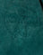 Washed Green Angel Energy Cherub Embro