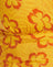  Hibisco Cebra Naranja