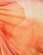 Fruit Crush Watercolour