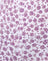 Ditsy Rose Lilac