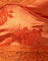 Rose Flock Tangerine