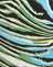 Warped Zebra Blue