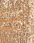 Sequin Gold