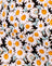 DelightfulDaisy