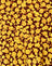 DitsyRoseMarigold