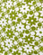 Patchwork Daisy Green