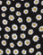  Grunge Daisy Black