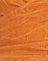  Mixed Animal Flock Orange