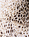 Hian Maxi Dress in Sand Leopard