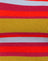 Stripe Palm Orange Purple and Blue
