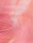 Abstract Blurred Pink