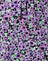 Lilac Blossom