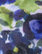  Abstract Watercolour Blue