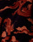 Tonal Dragon Orange
