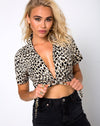Image of Marleigh Crop Top in Cheetah