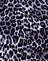 RarLeopardGrey