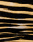 Zips Zebra Brown