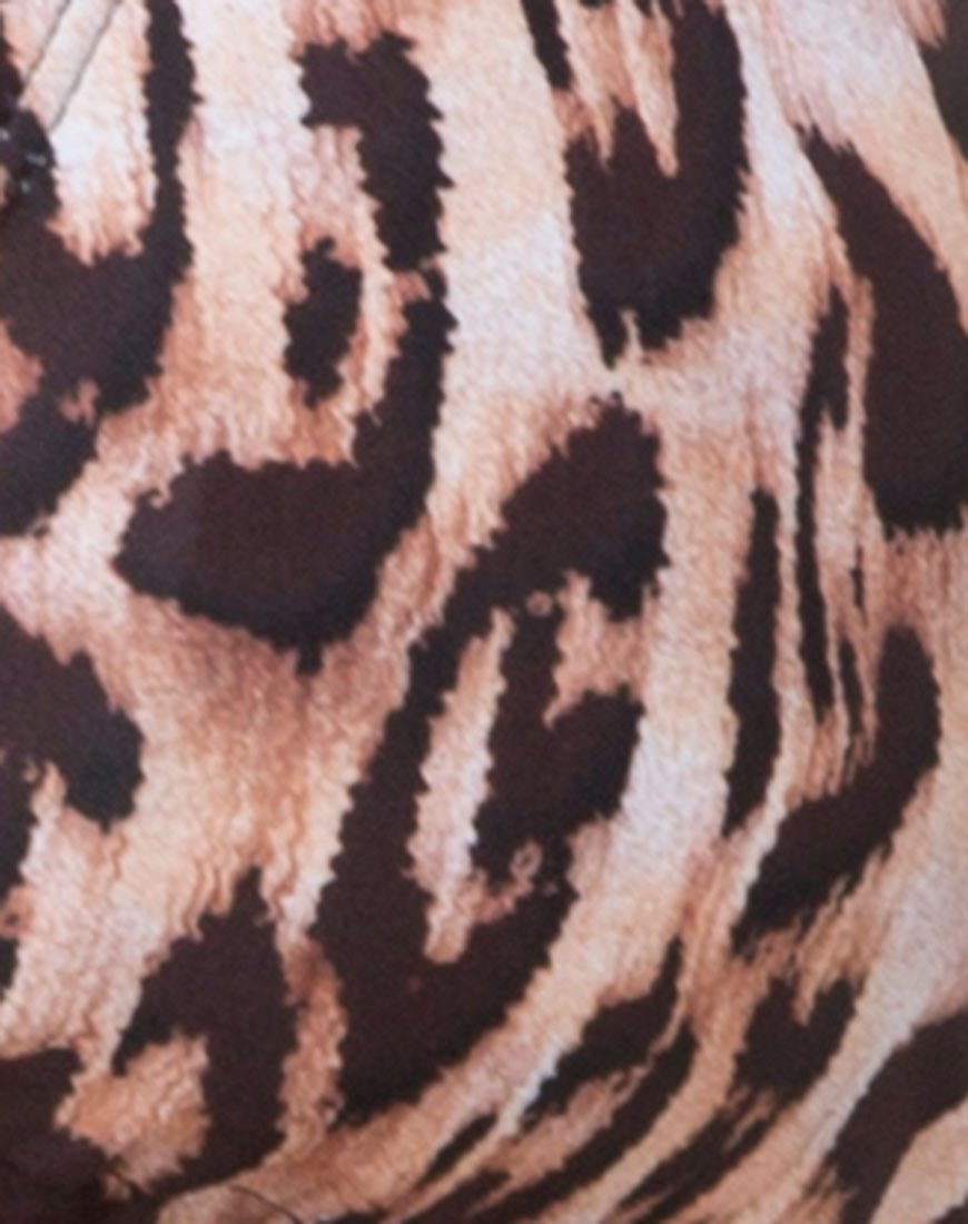 Image of Mone bottom Bikini in Original Cheetah