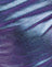 Holographic Purple