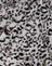 Animal Grey