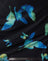 Butterfly Watercolour Black