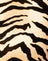 Tiger Gold