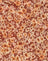 Small Flower Brown