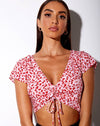 Image of Raeto Crop Top in Ditsy Butterfly Peach and Red