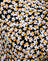 Spring Fling Floral Black