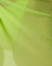 Jackfruit Green