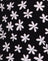 90sDaisyBlackandWhite