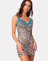 Image of Sheys Dress in Mesh Cheetah with Blue Lace