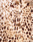 Crinkle Sand Leopard