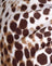 Sand Leopard