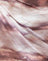 Abstract Animal Mesh