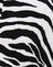 Huge Zebra