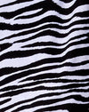 Classic Zebra