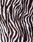 Zebra Vertical
