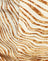 Desert Terrain Tan