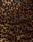 Leopardo nocturno Marrón