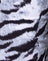 Tiger Full Silver Placement