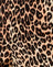 True Leopard